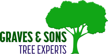 graves & sons tree experts llc logo
