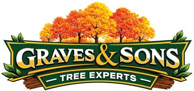 graves & sons tree experts llc logo